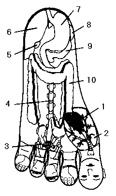 sfp03.gif